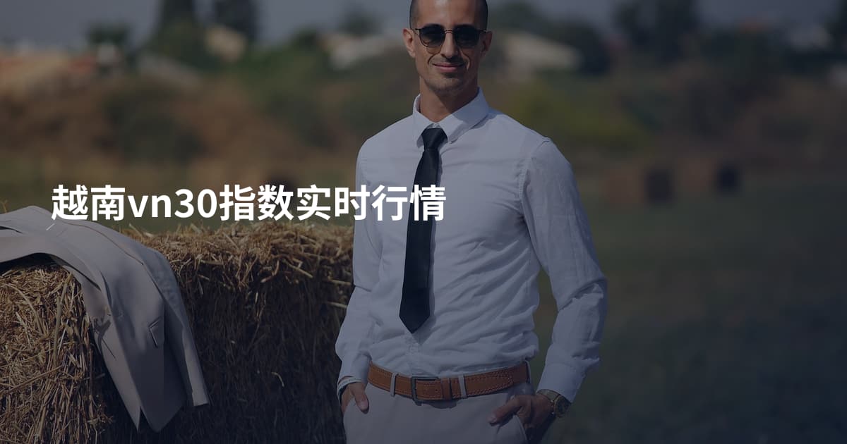 越南vn30指数实时行情