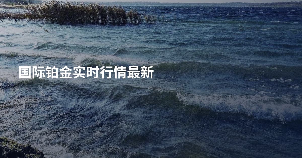 国际铂金实时行情最新