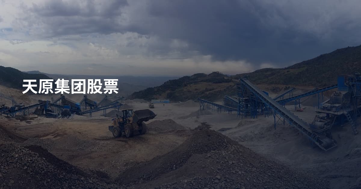 天原集团股票