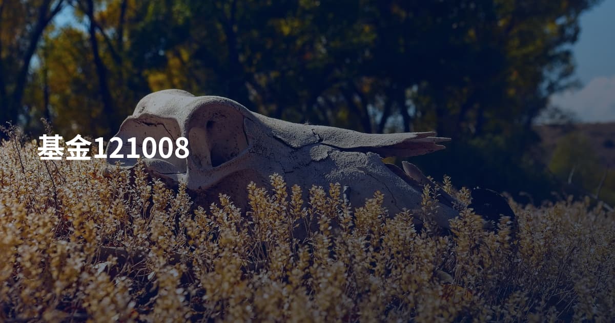 基金121008