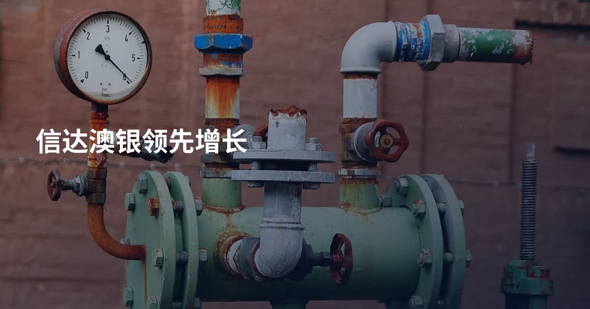 信达澳银领先增长