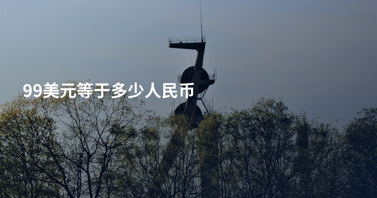 99美元等于多少人民币