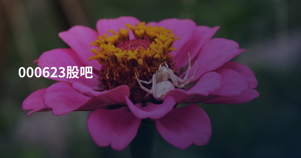 000623股吧