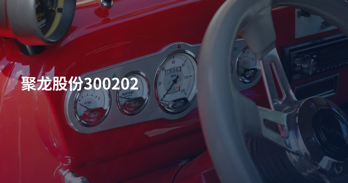 聚龙股份300202