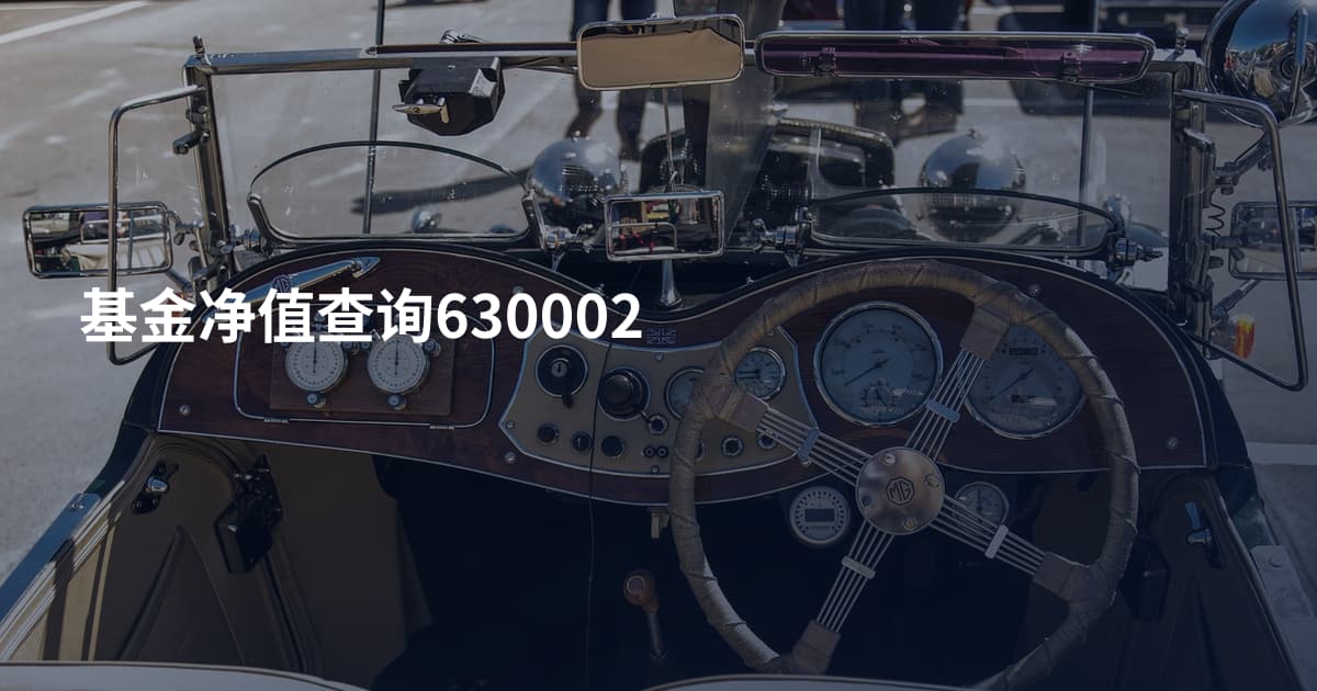 基金净值查询630002
