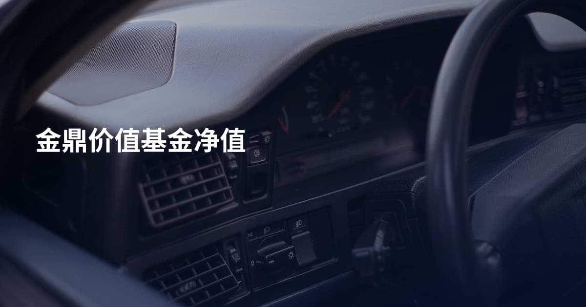 金鼎价值基金净值