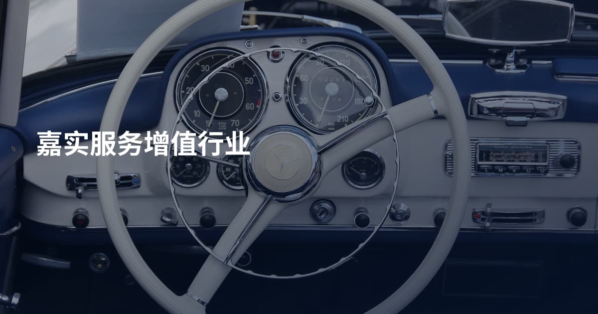 嘉实服务增值行业