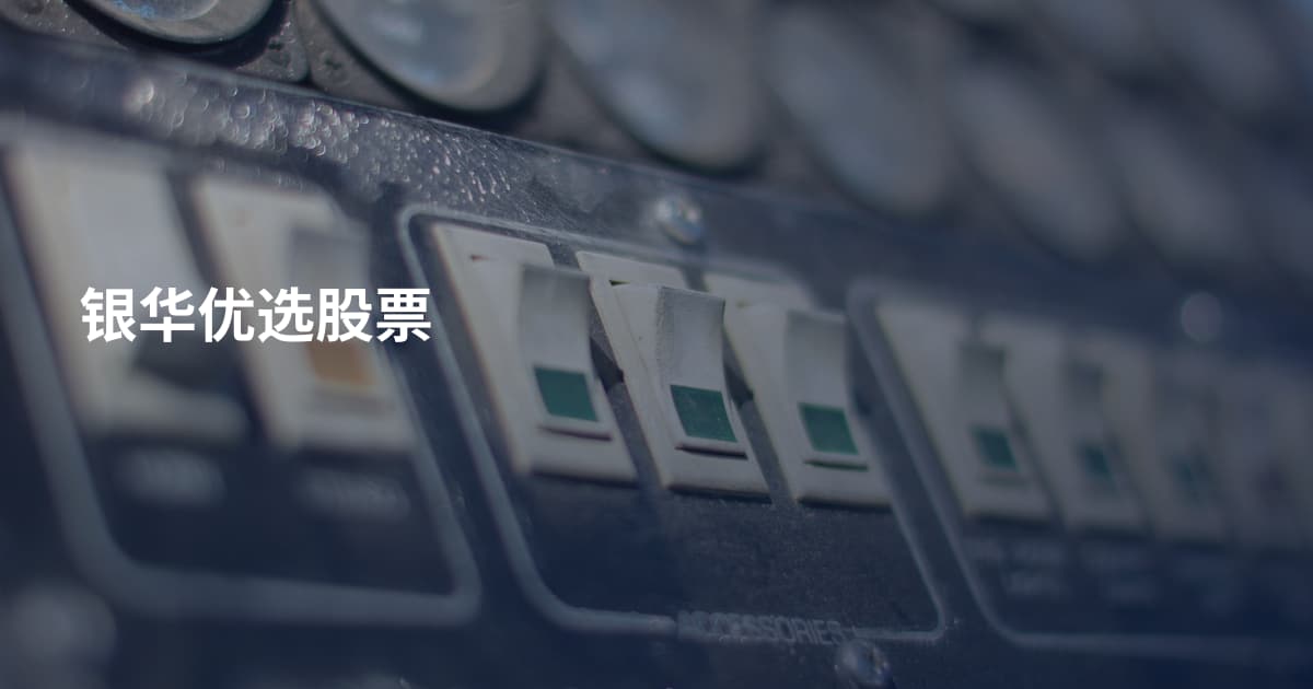 银华优选股票