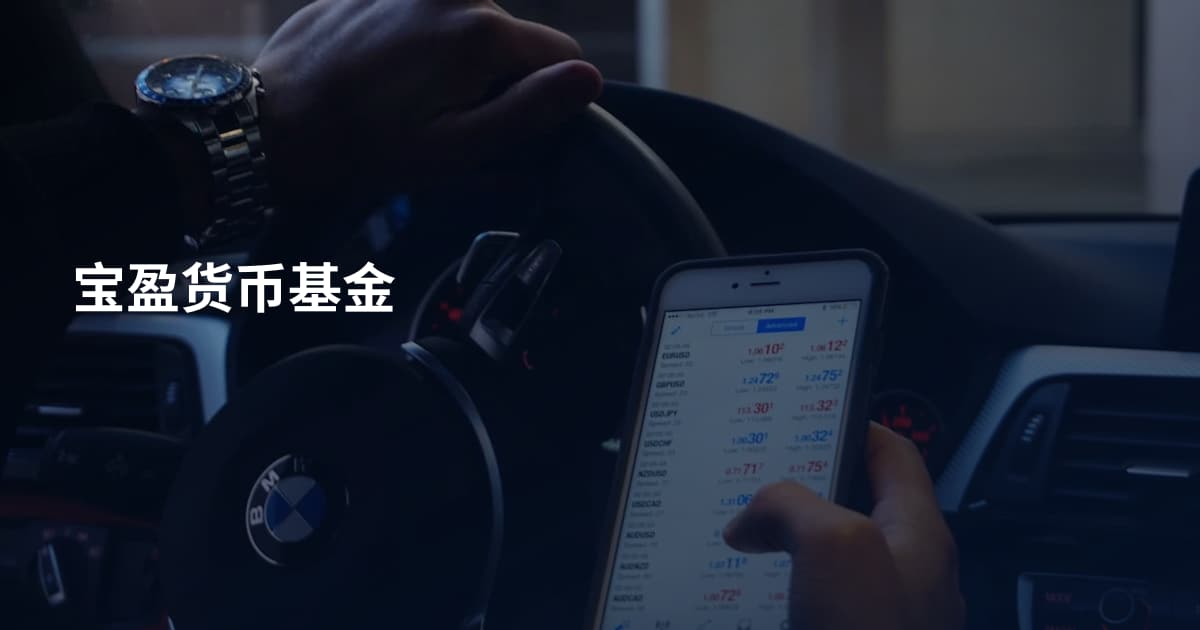 宝盈货币基金