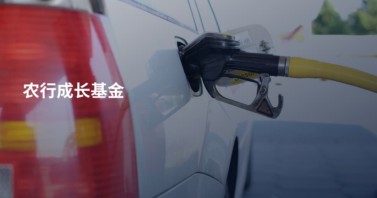 农行成长基金