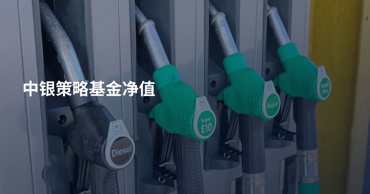 中银策略基金净值