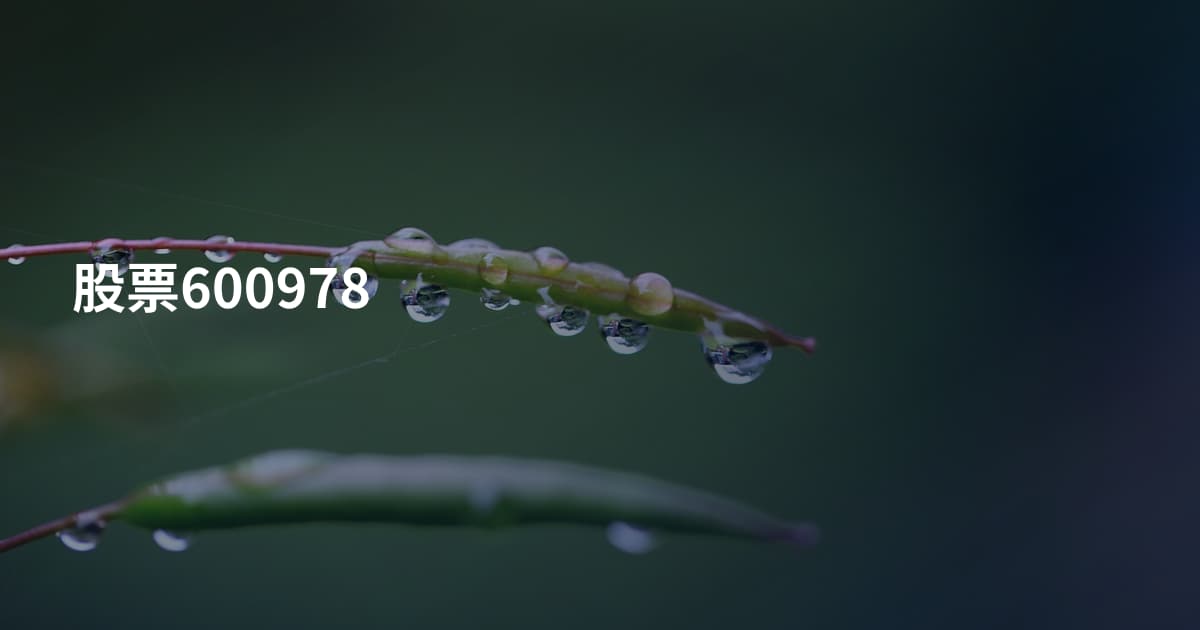 股票600978