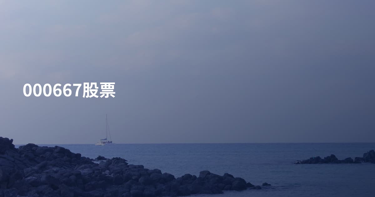 000667股票