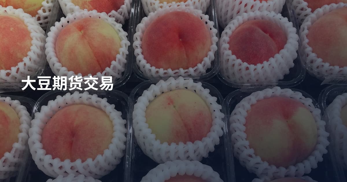 大豆期货交易