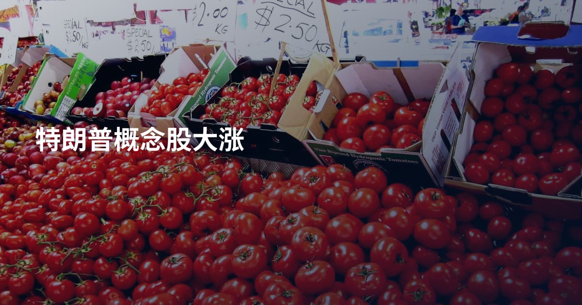 特朗普概念股大涨