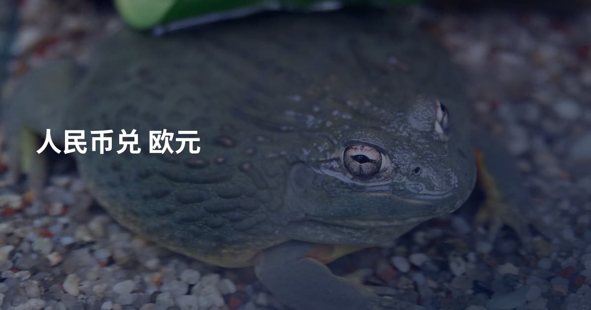 人民币兑 欧元