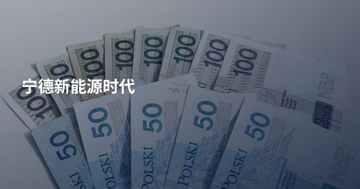 宁德新能源时代