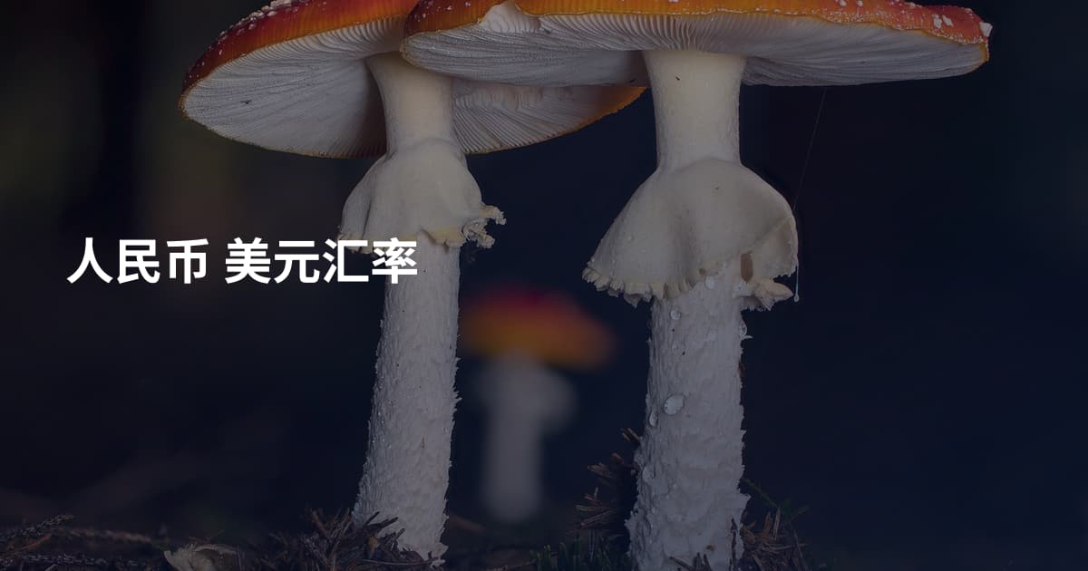 人民币 美元汇率