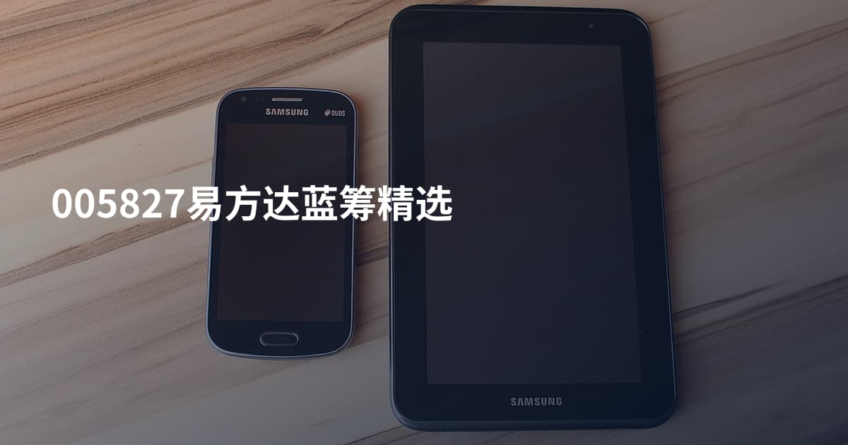 005827易方达蓝筹精选