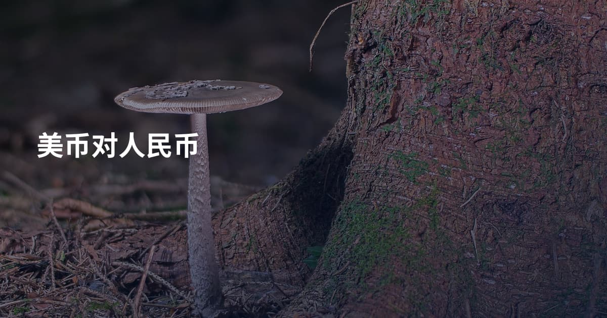 美币对人民币