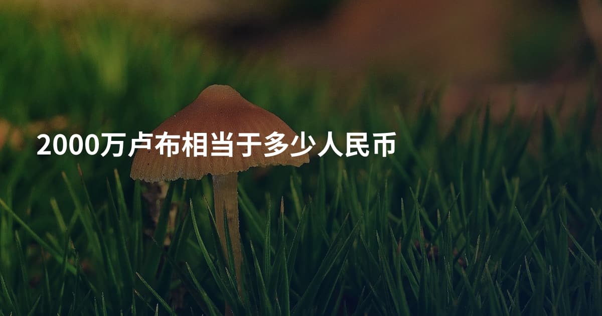 2000万卢布相当于多少人民币