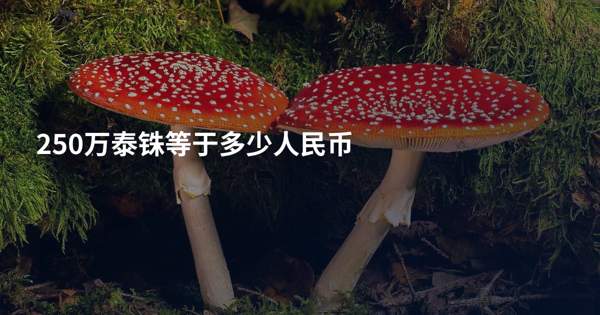 250万泰铢等于多少人民币