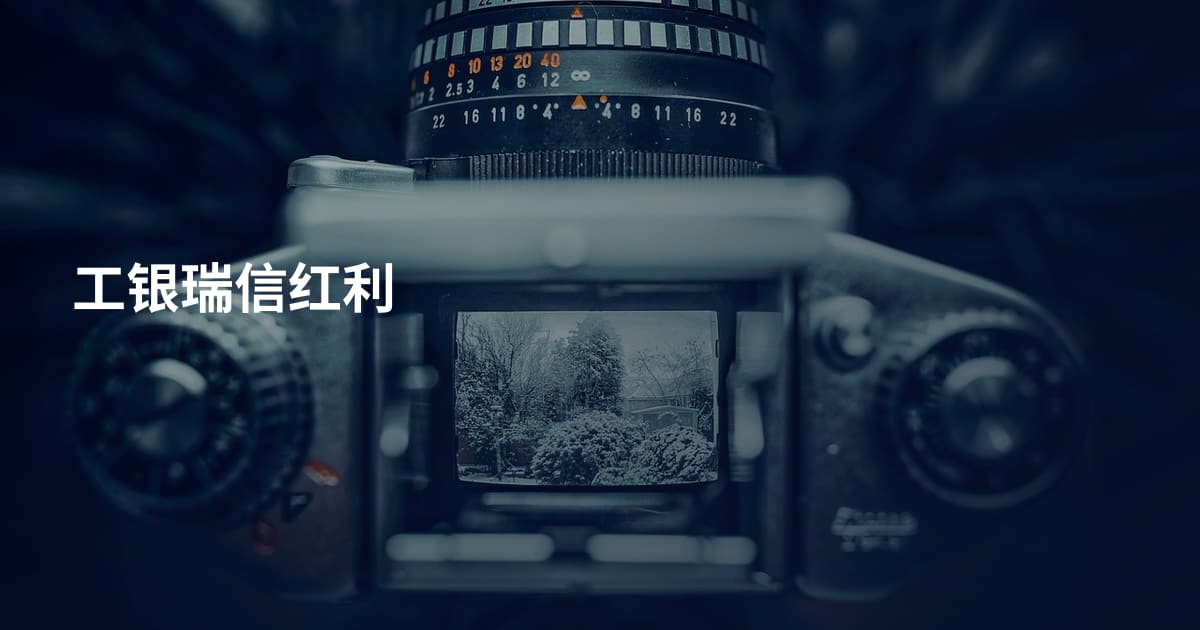 工银瑞信红利