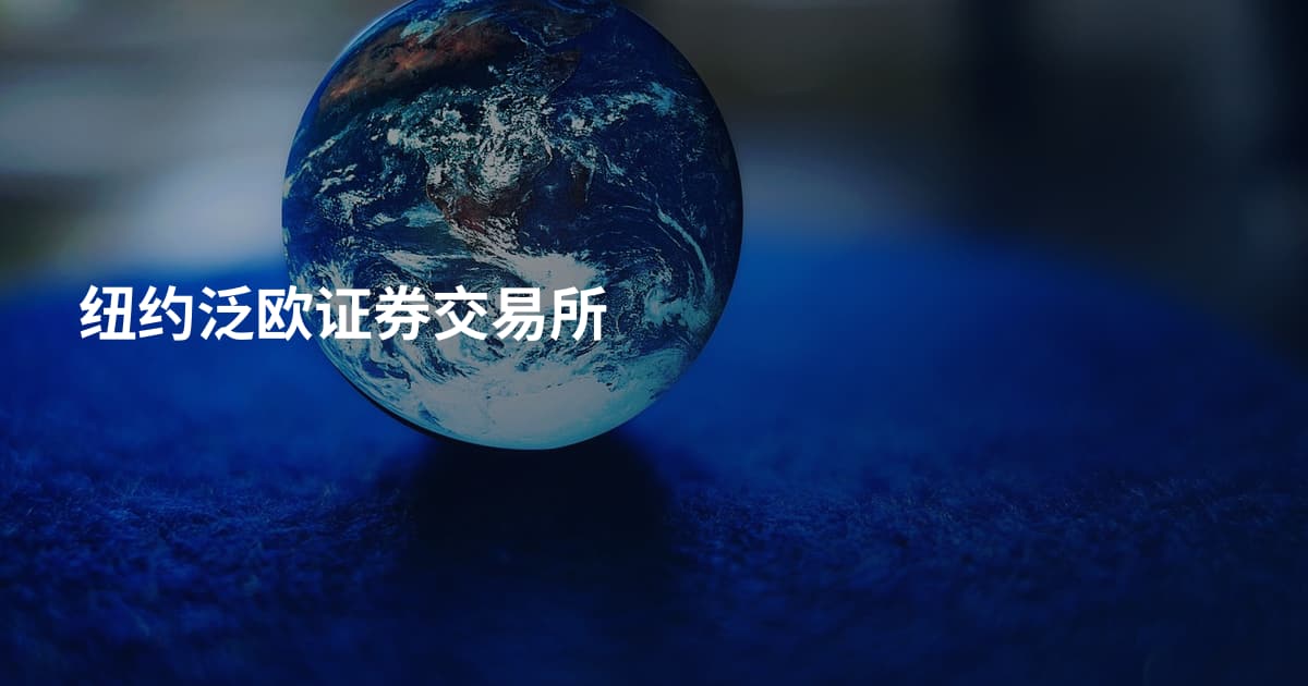 纽约泛欧证券交易所