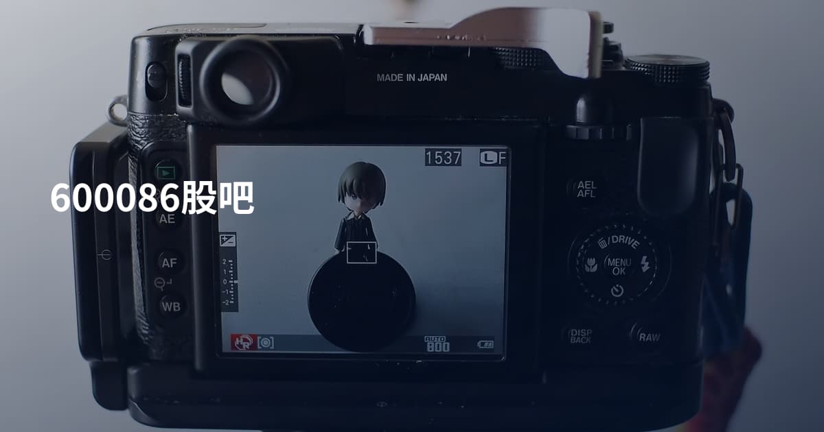 600086股吧