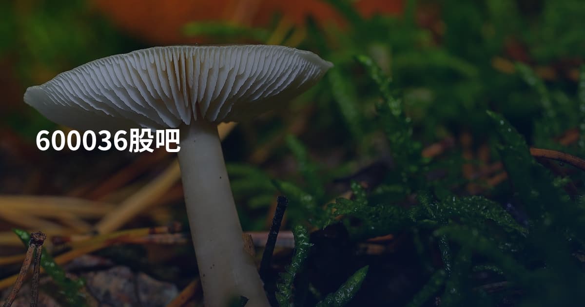 600036股吧