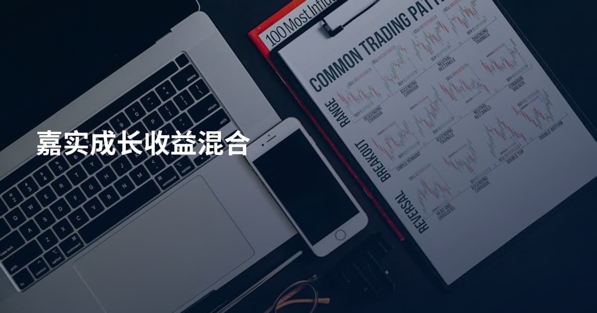 嘉实成长收益混合