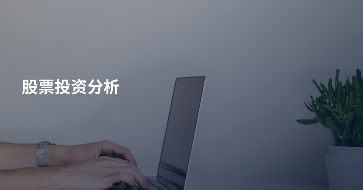 股票投资分析