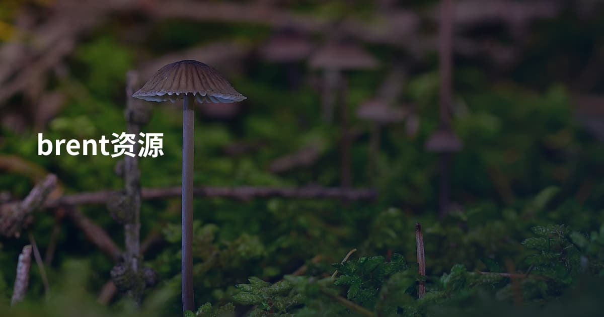 brent资源