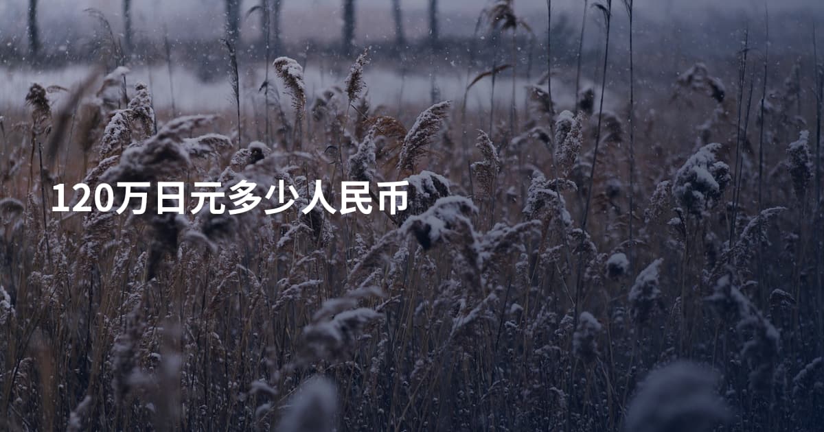 120万日元多少人民币