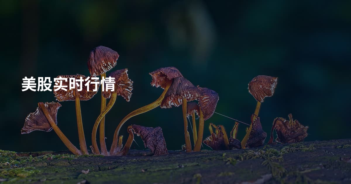 美股实时行情