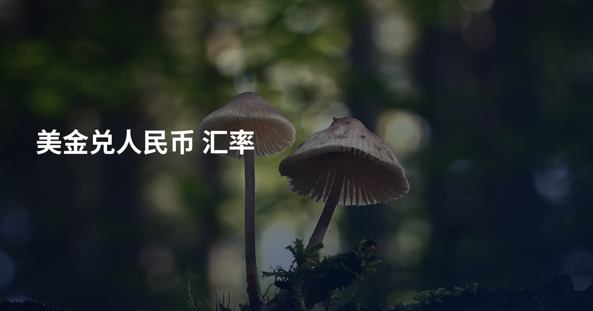 美金兑人民币 汇率