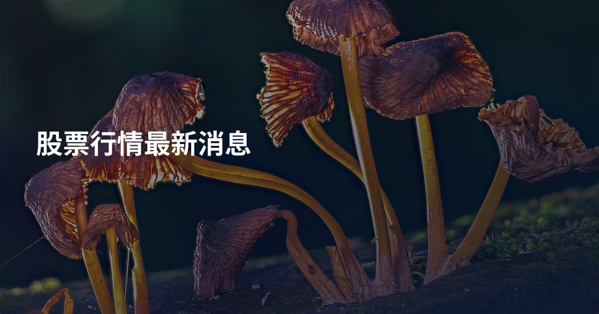 股票行情最新消息