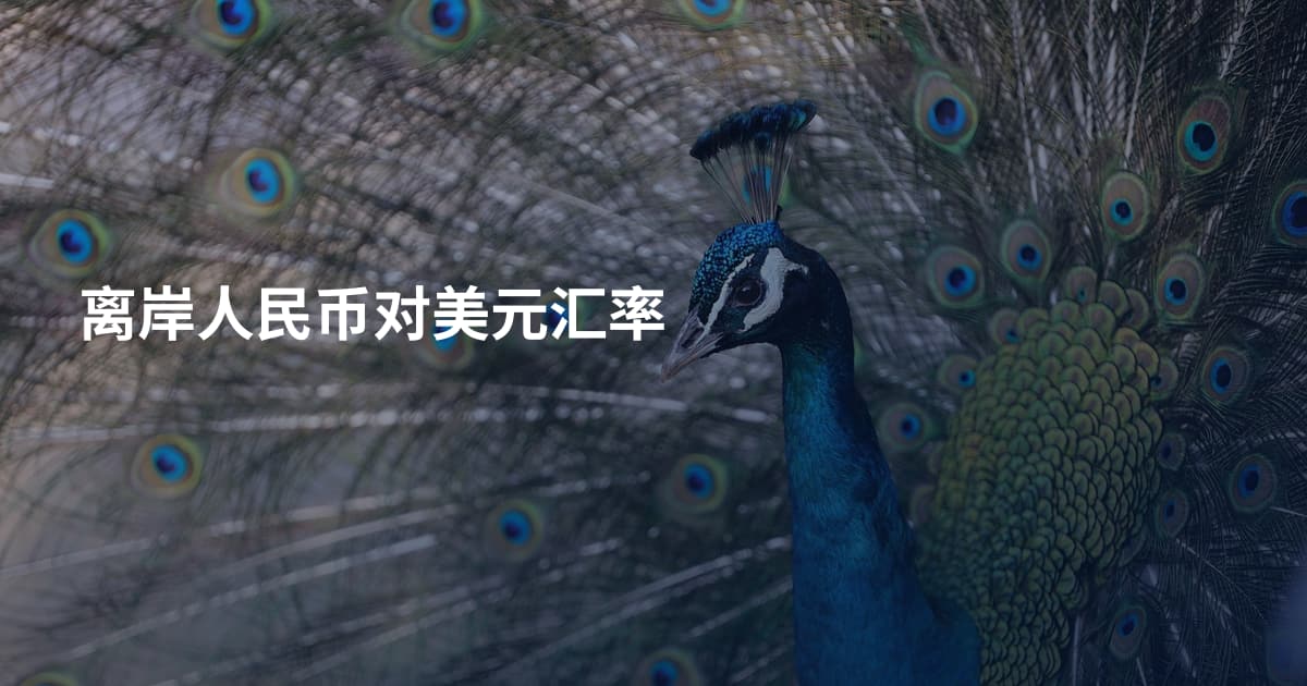 离岸人民币对美元汇率
