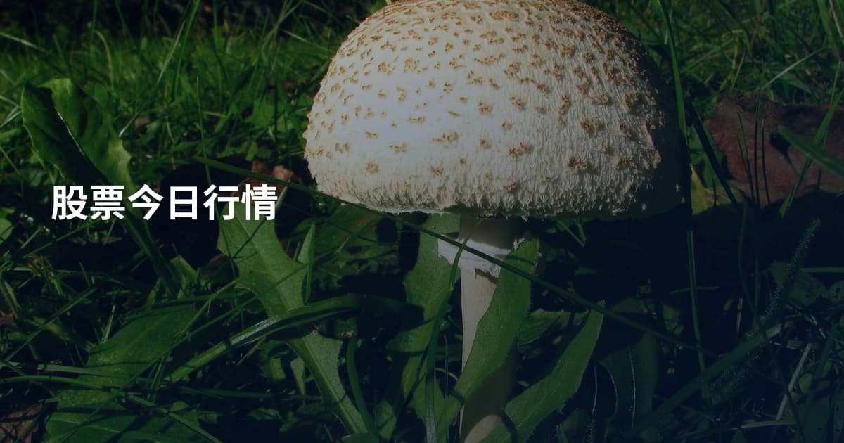 股票今日行情