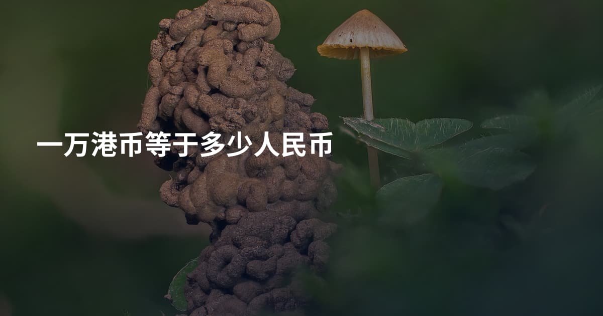 一万港币等于多少人民币