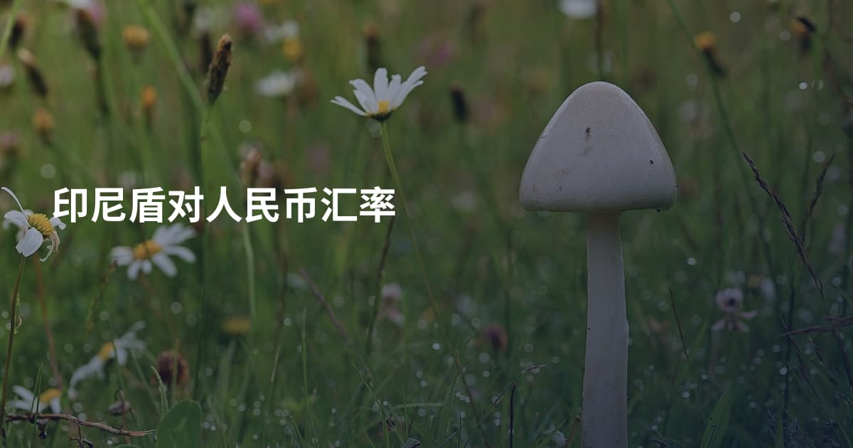 印尼盾对人民币汇率