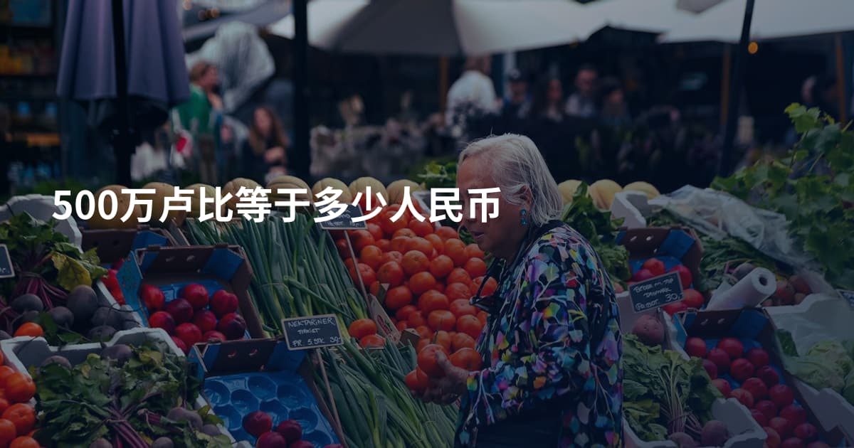 500万卢比等于多少人民币