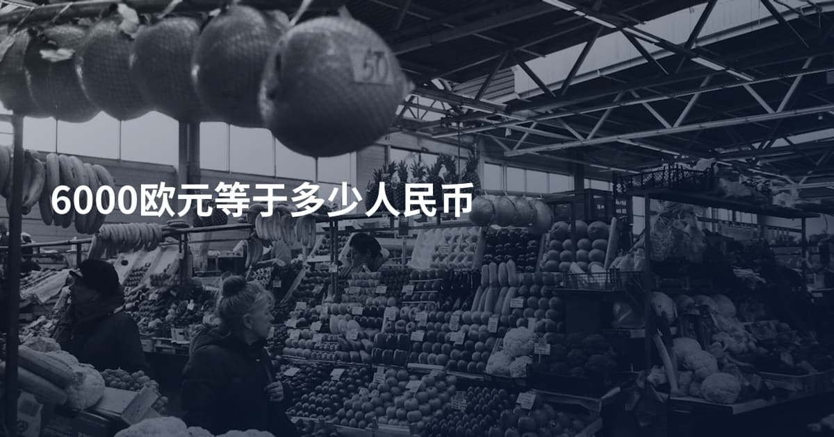 6000欧元等于多少人民币