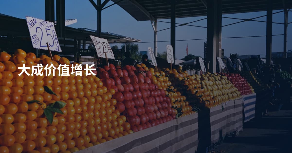 大成价值增长