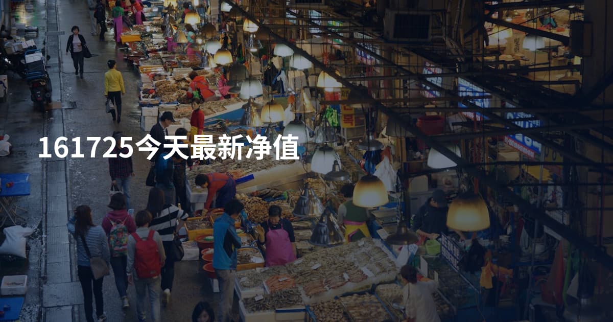 161725今天最新净值