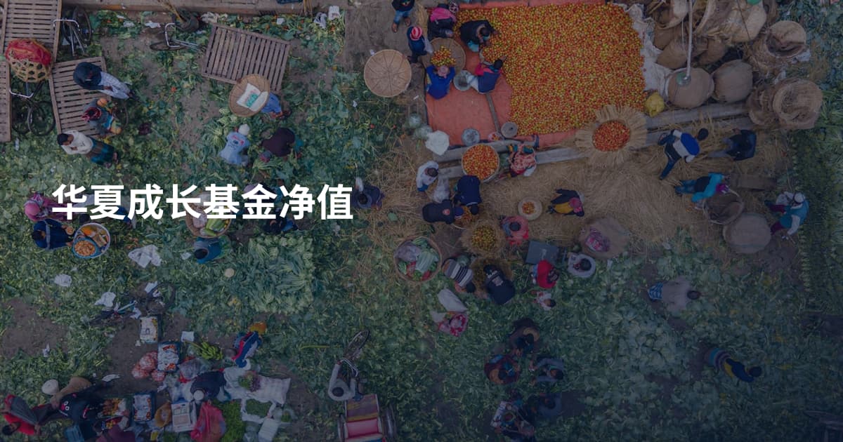 华夏成长基金净值