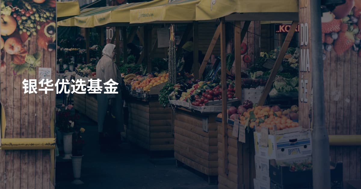 银华优选基金