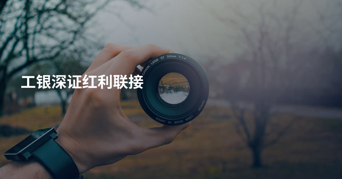 工银深证红利联接