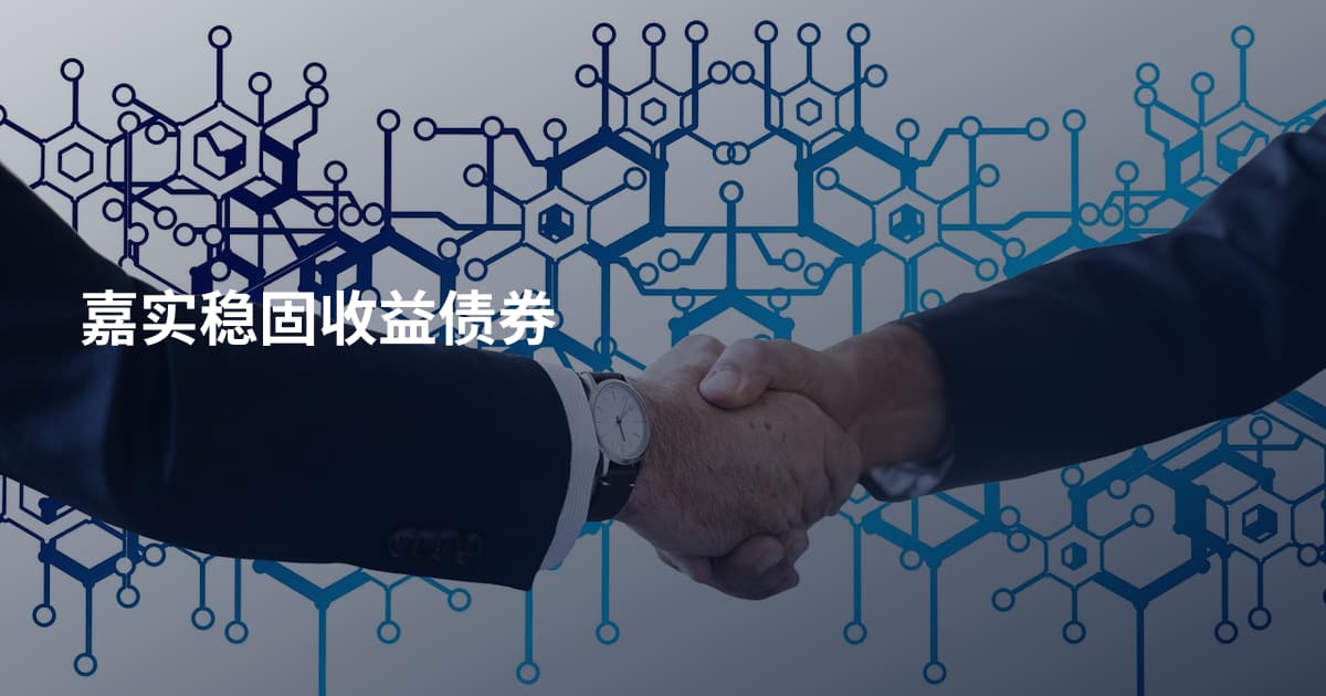 嘉实稳固收益债券