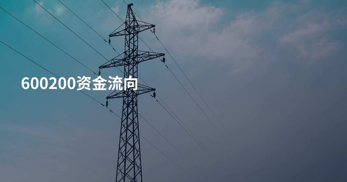 600200资金流向